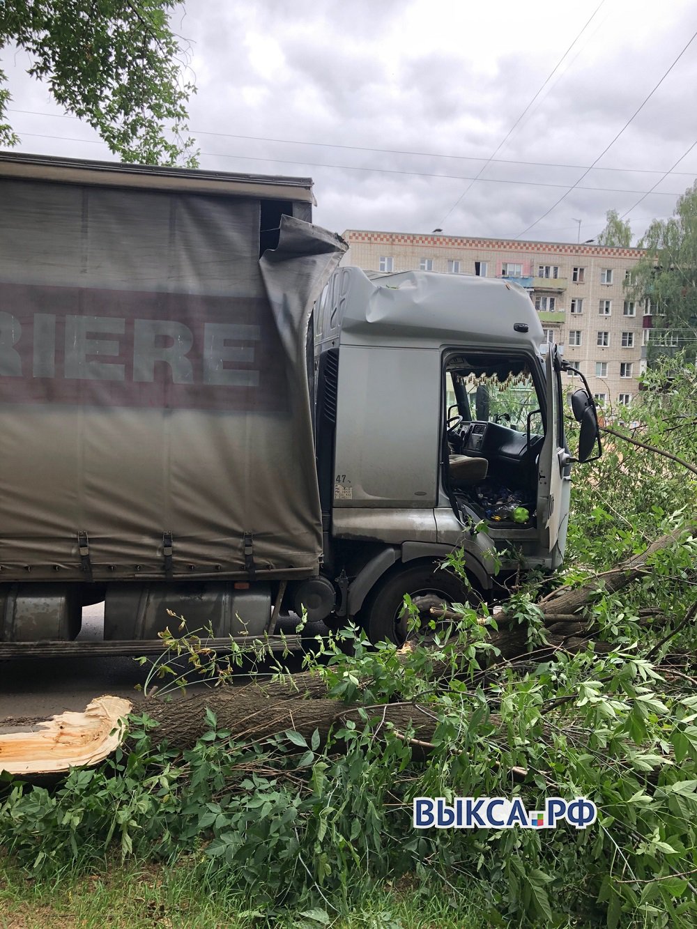 Дерево упало на грузовик во время движения